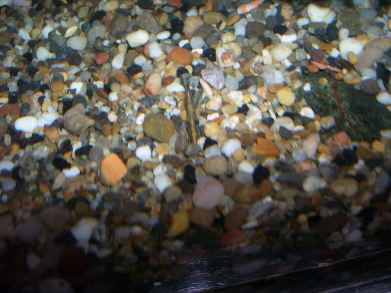 100_1258.jpg