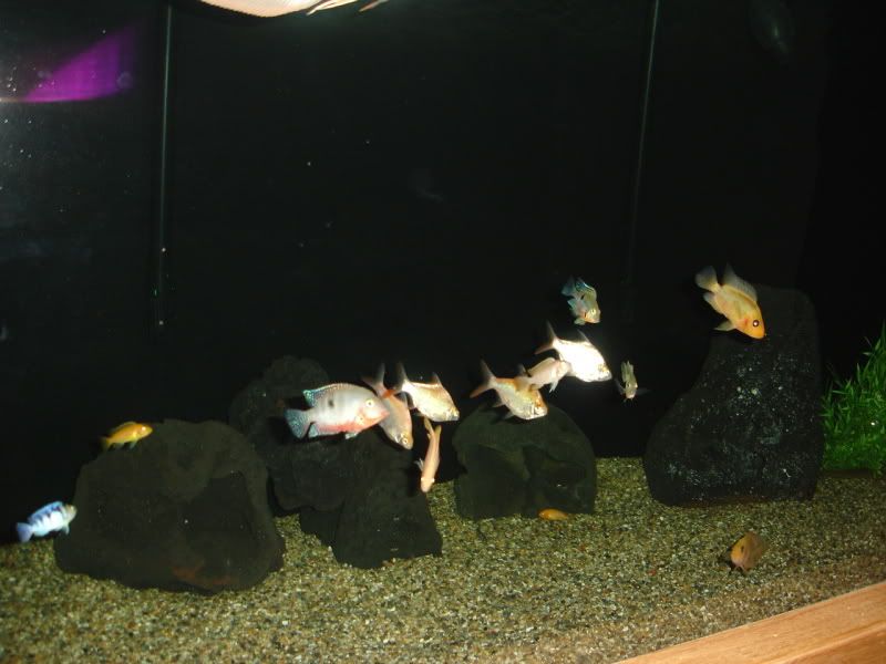 DSC02710.jpg