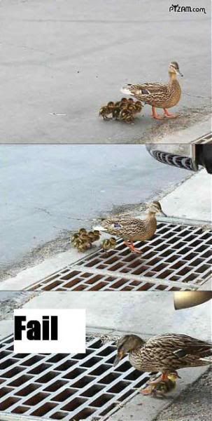 duckfail.jpg