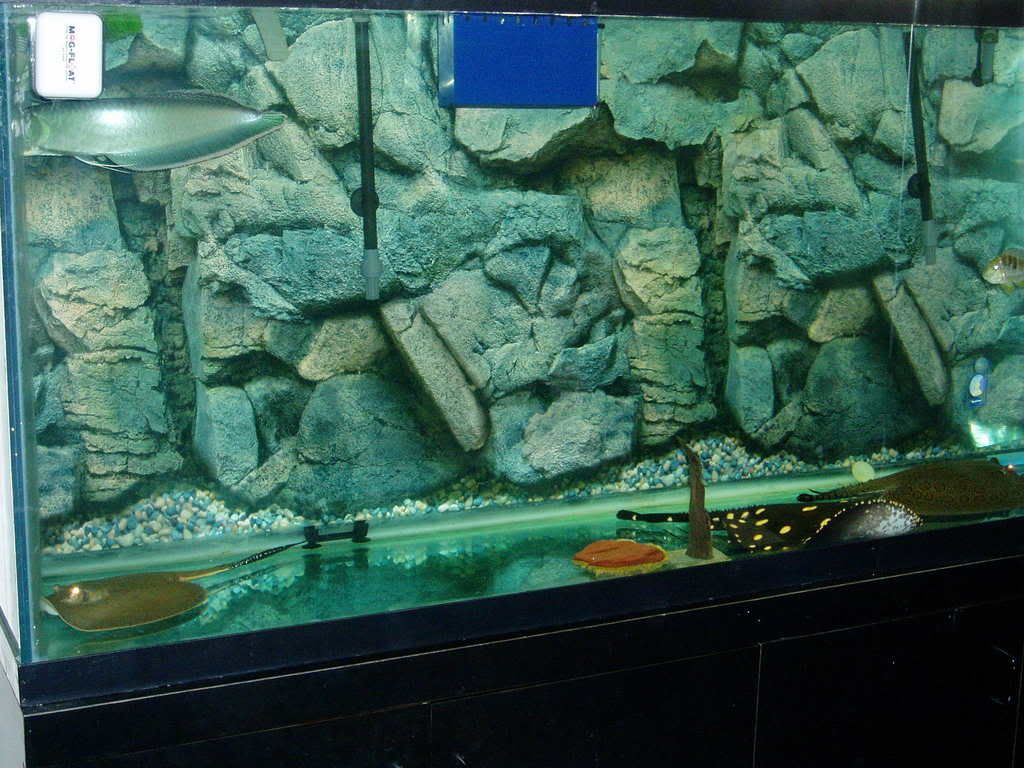 Pics011.jpg