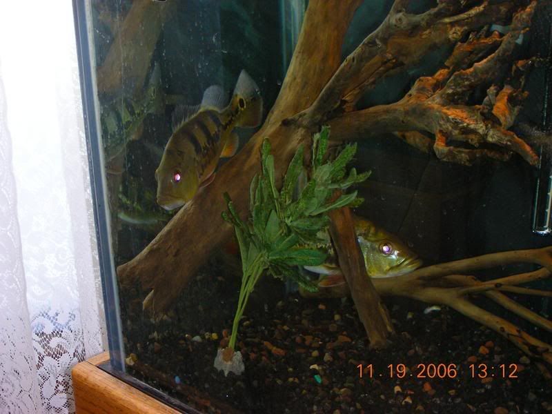 DSCN1059.jpg