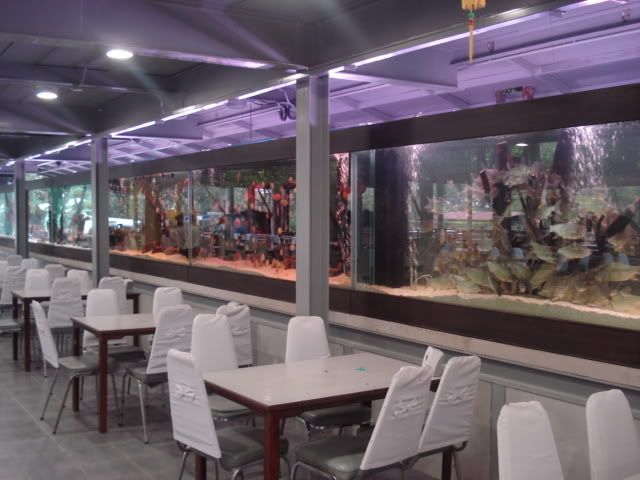 aquarium.jpg