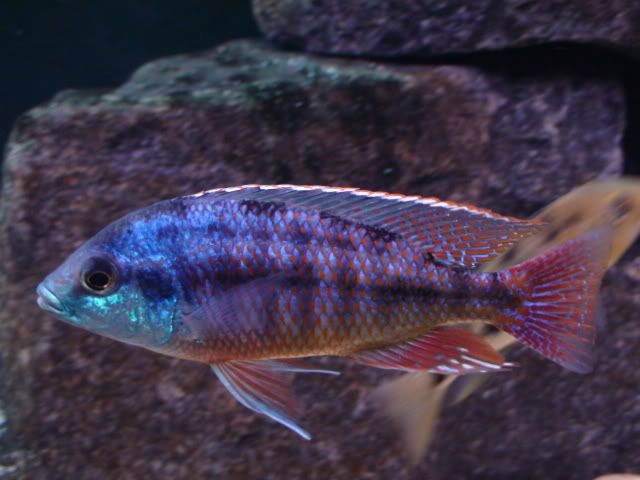 DSC01566.jpg