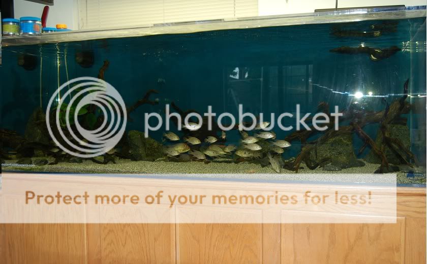 225gal11.jpg