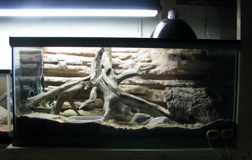 Enclosure.jpg
