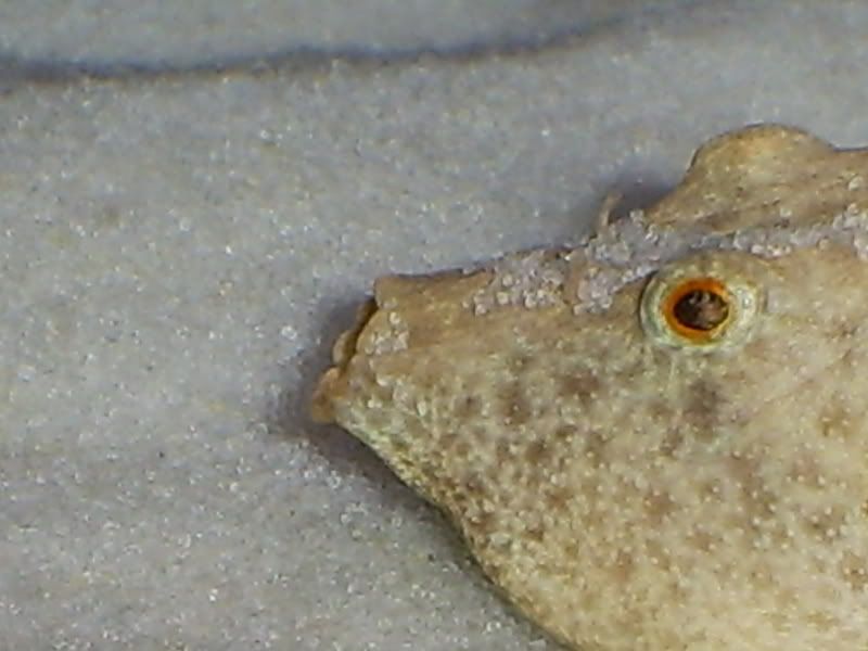 S5031352.jpg