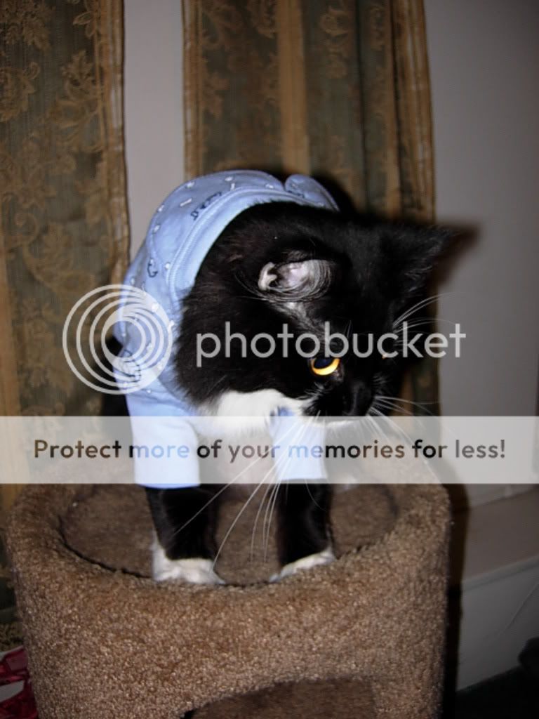 fluffysPJs121806004.jpg