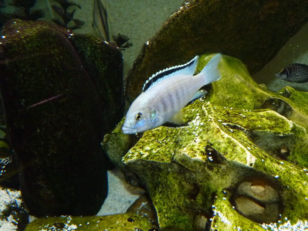 P1020352.jpg
