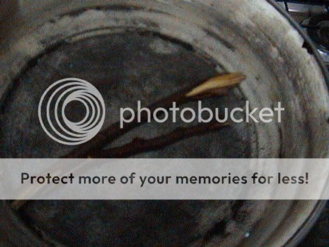 DSC00008.jpg