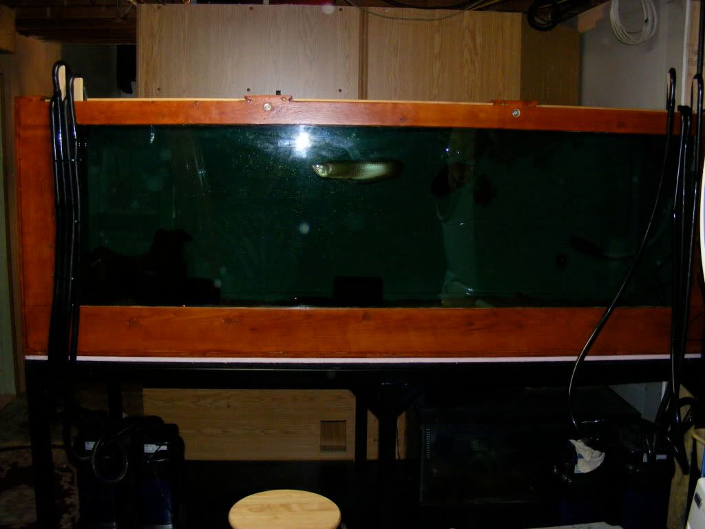 DSCF2671.jpg
