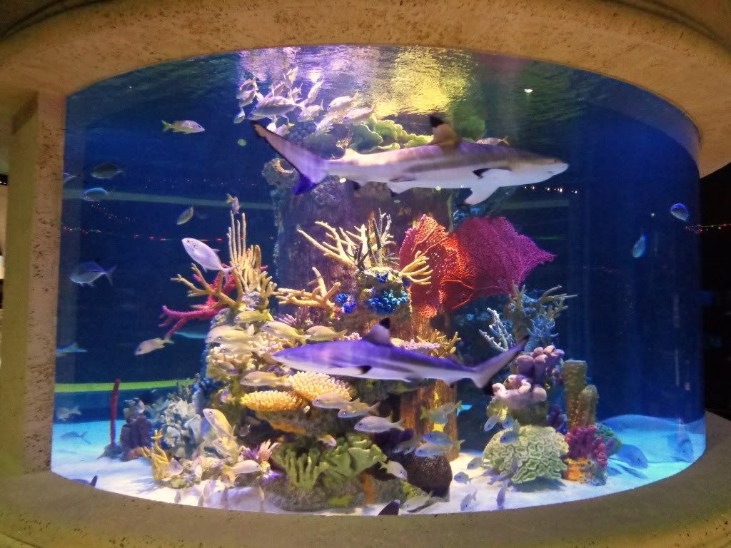 DSC02515.jpg