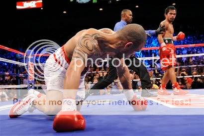 cotto.jpg