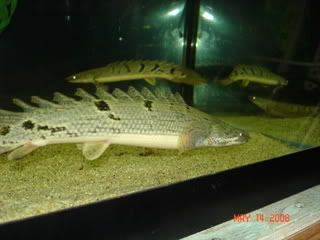DSC02472-1.jpg