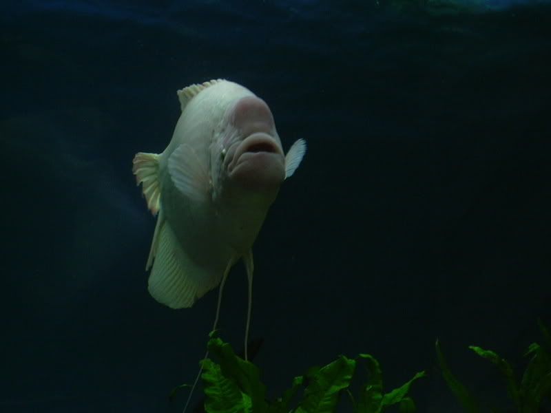 DSCN1363.jpg