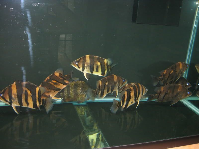 4-20-09013.jpg