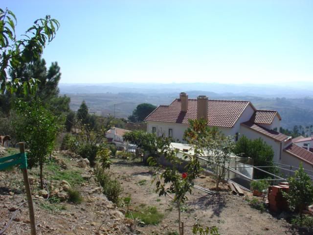 DSC08536.jpg