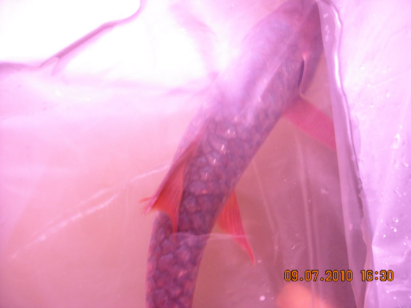 DSCN0173.JPG