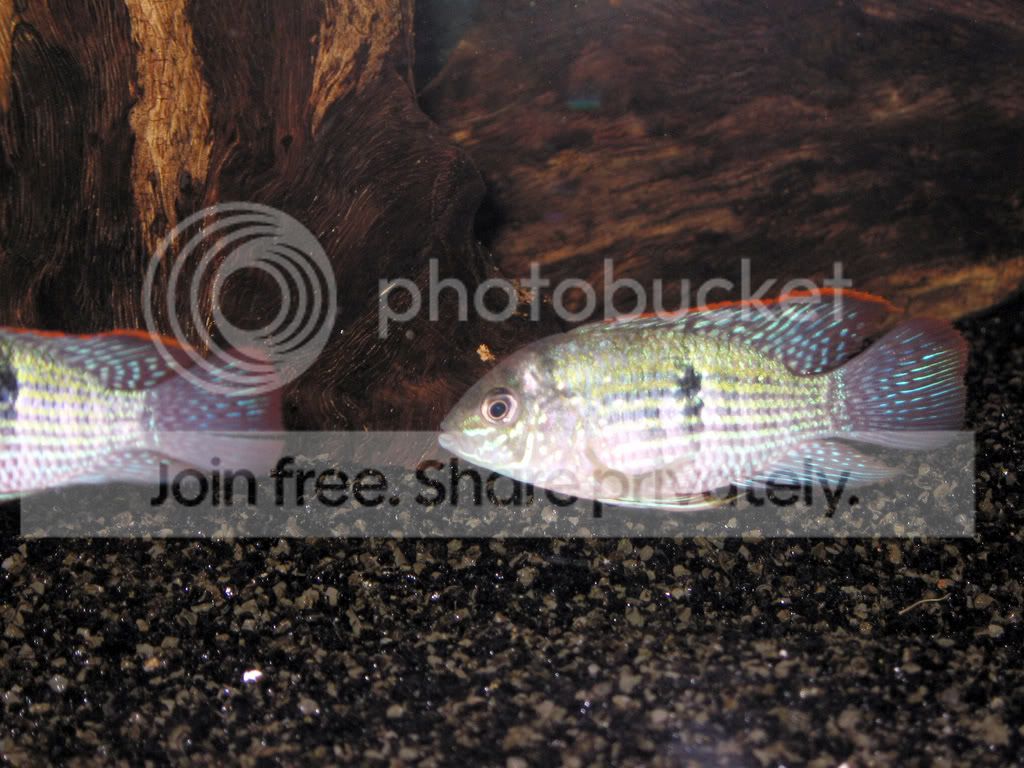IMG_0505.jpg