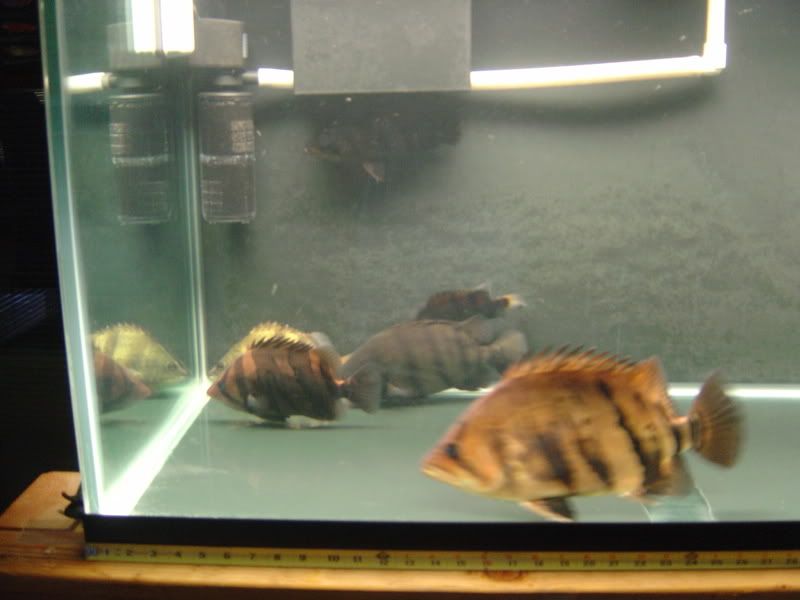 6-24-08057.jpg