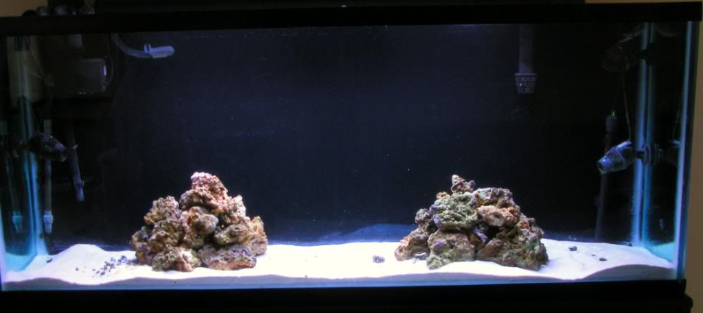 PICT0372.jpg
