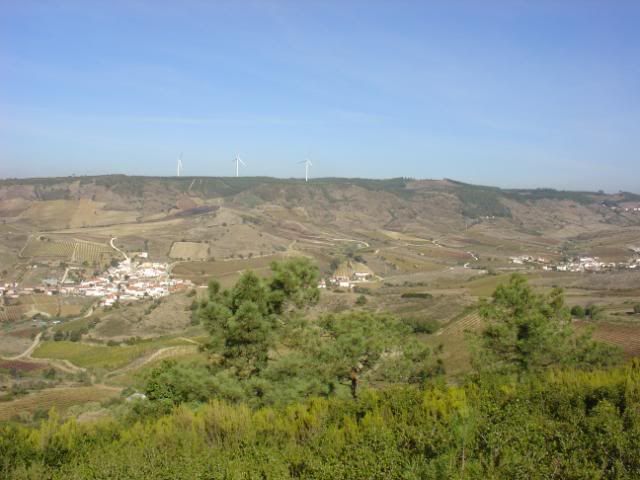DSC08523.jpg