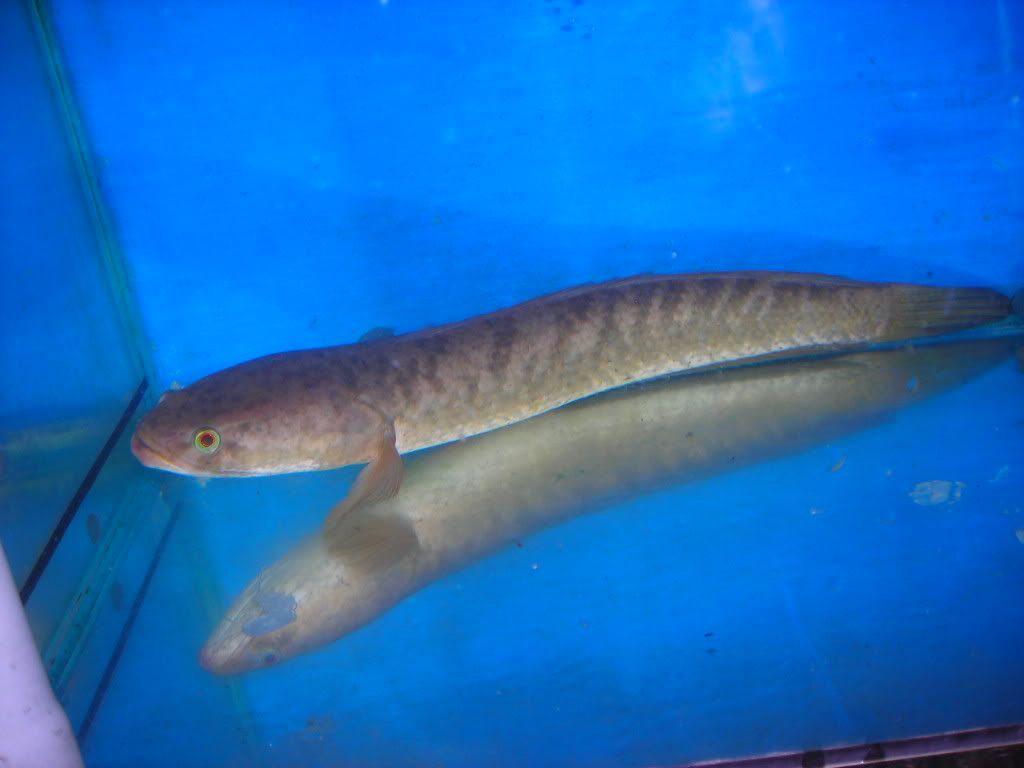 DSCN1469.jpg