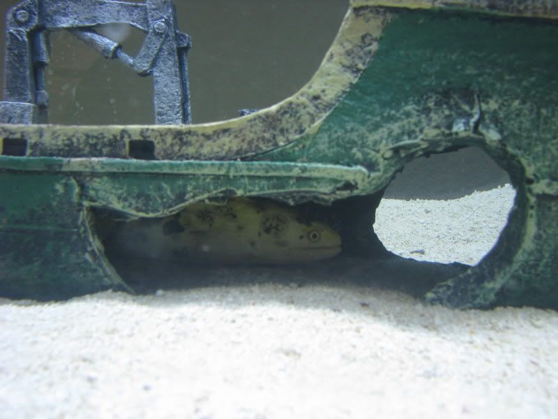 aquariumApril5084.jpg