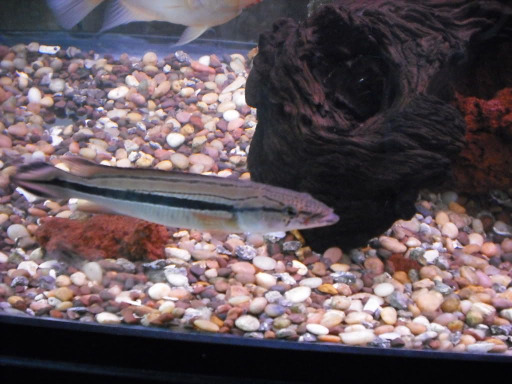 DSCF2287.jpg