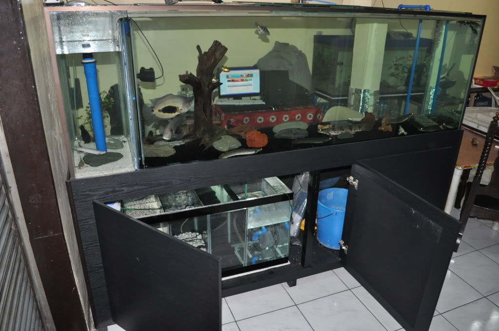 DSC_1257.jpg