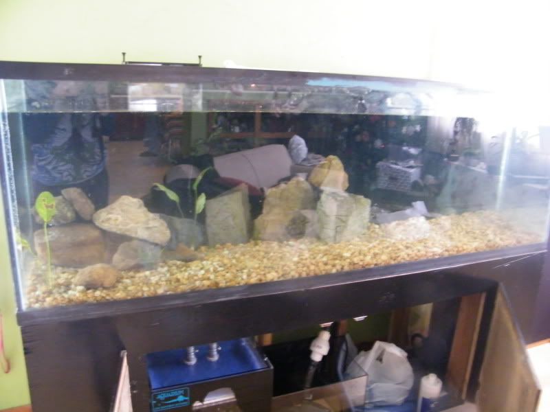 pics027.jpg