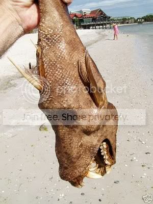 sea_monster_04.jpg