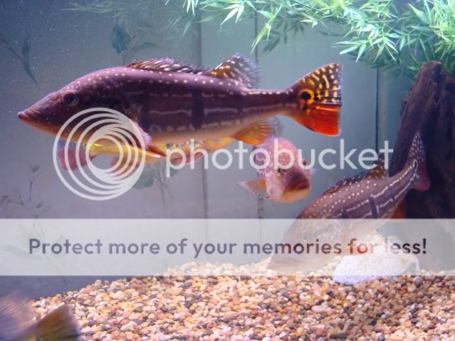 DSC02968.jpg