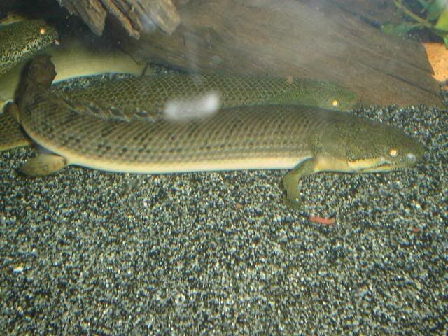DSC08046.jpg
