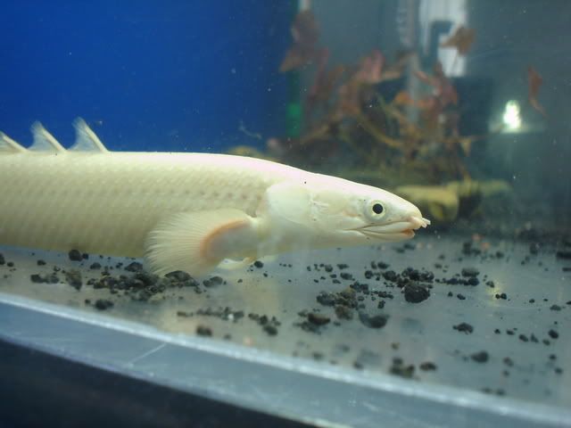 DSC08653.jpg