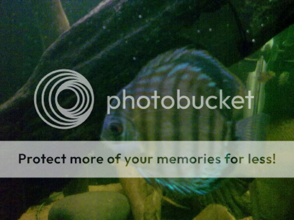 11062009199.jpg