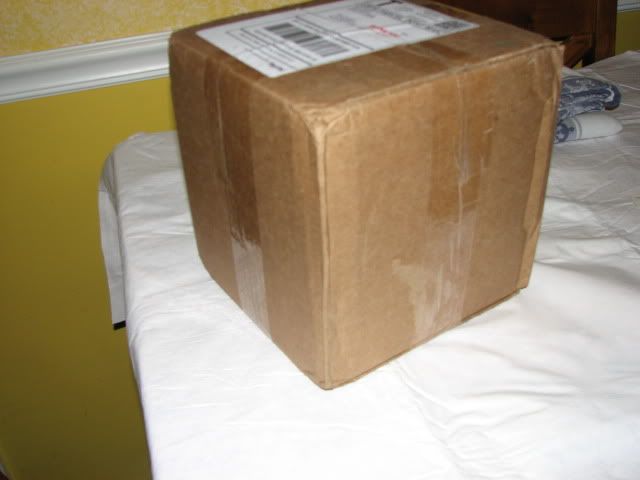 003-6.jpg