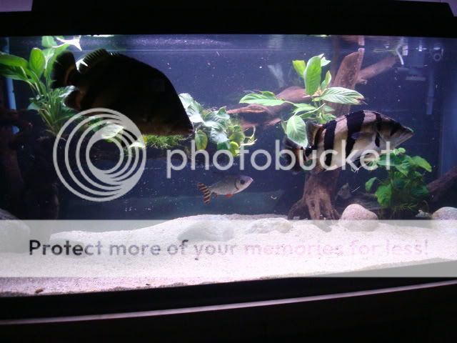DSC07124.jpg