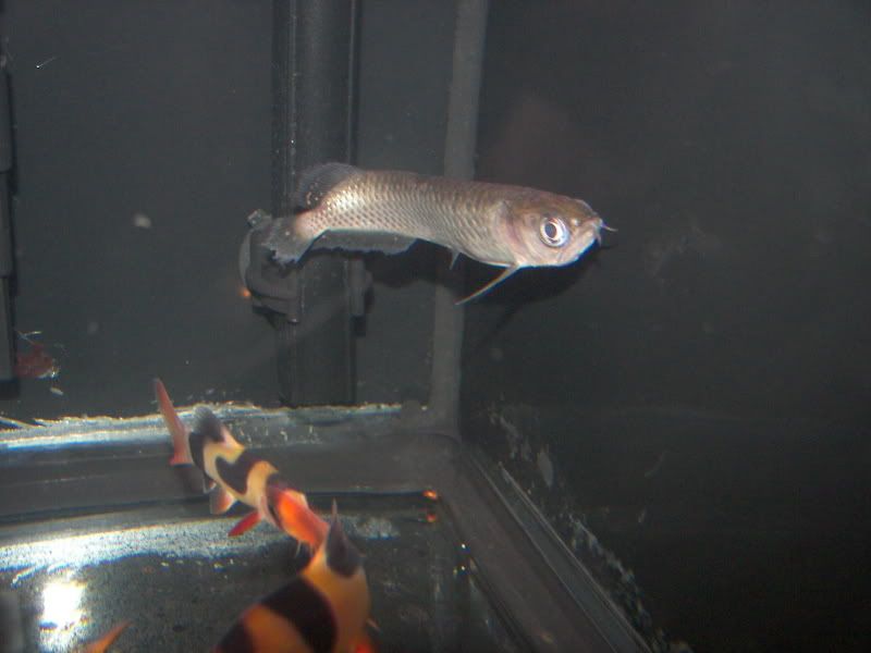 100_1378.jpg