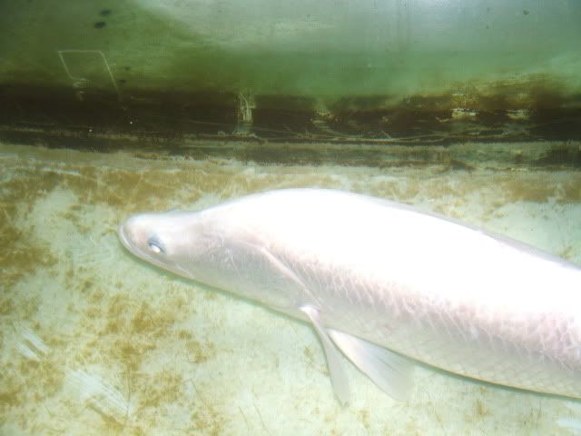 Barra002.jpg