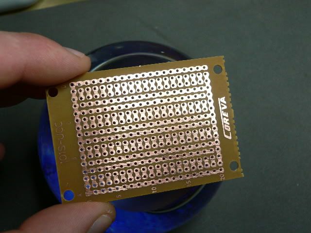P1030737.jpg