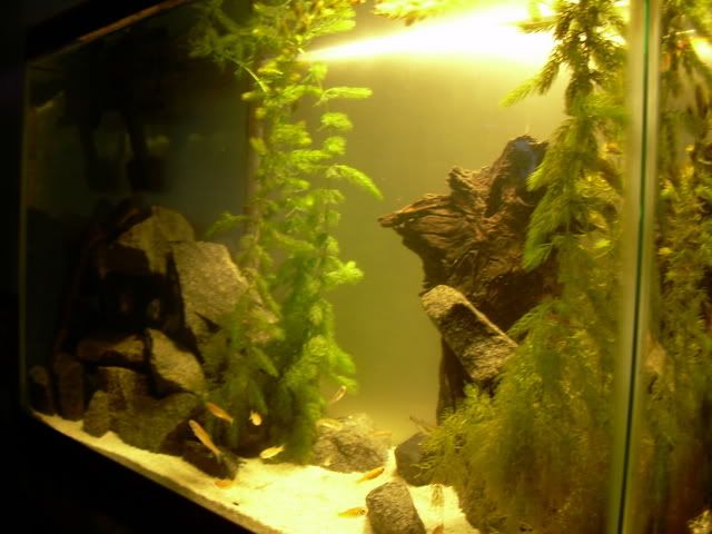 DSCN0849.jpg