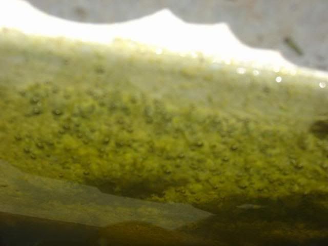DSC03884.jpg