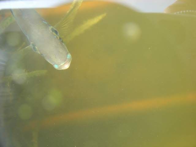 DSC06435.jpg