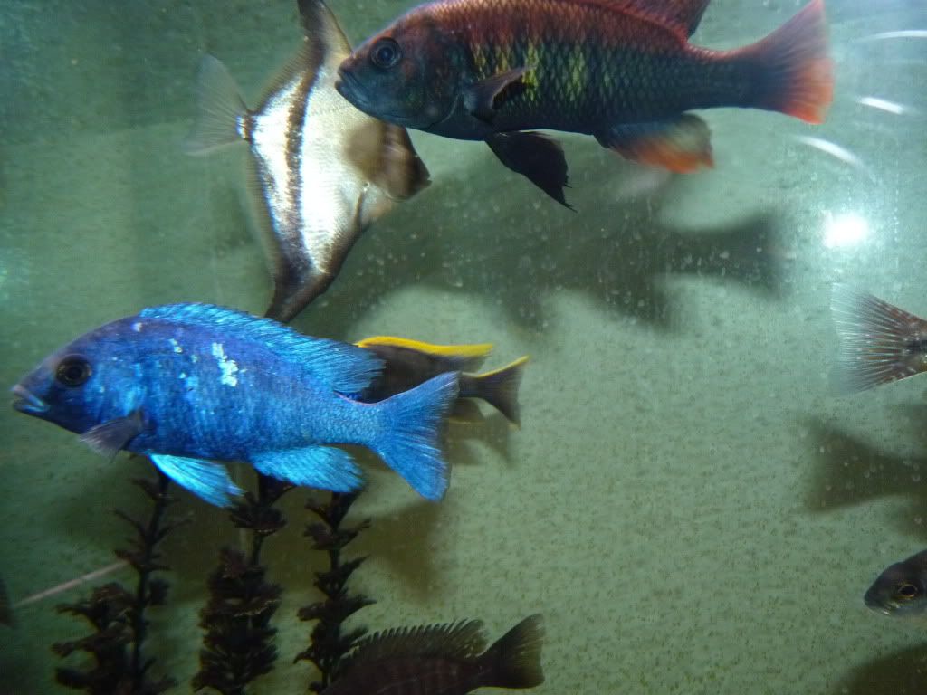 P1020333.jpg
