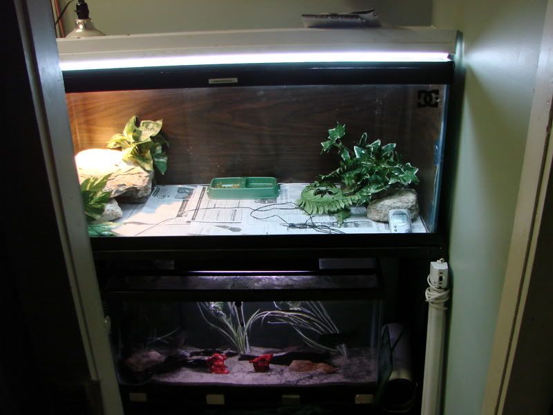 DSC00176.jpg