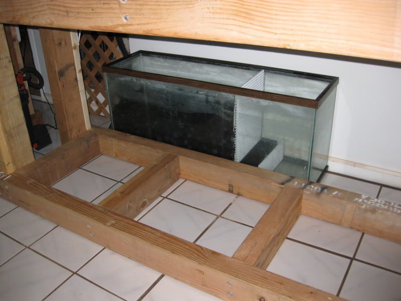 3-17-09034.jpg