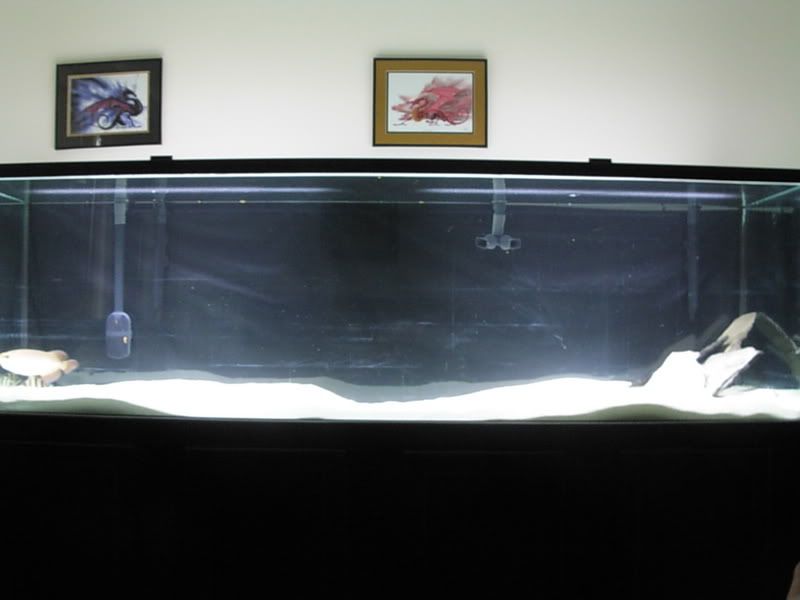 tank200g.jpg