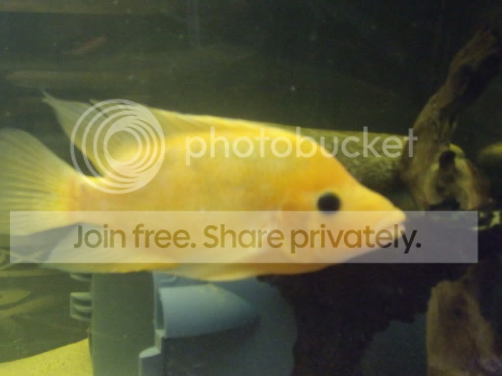 DSCF2172.jpg