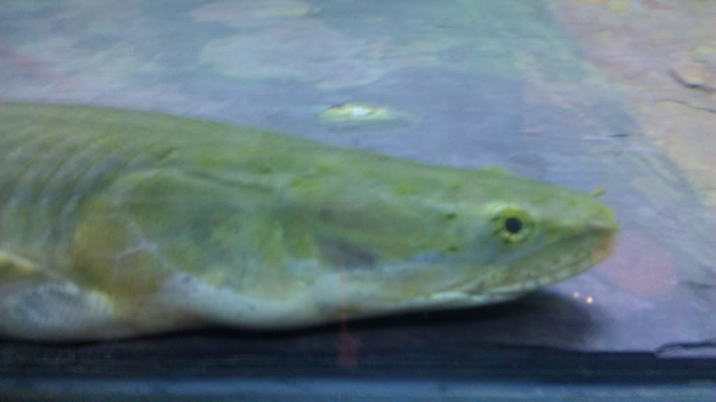 IMAG0746.jpg