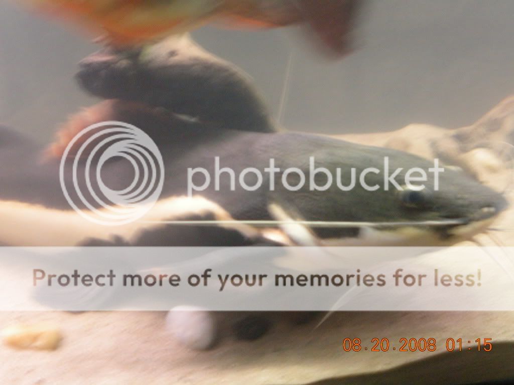DSCN0634.jpg
